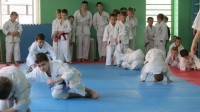 в м. Оршанці відбулися навчально-тренувальні збори в рамках підготовки до Кубку світу з карате